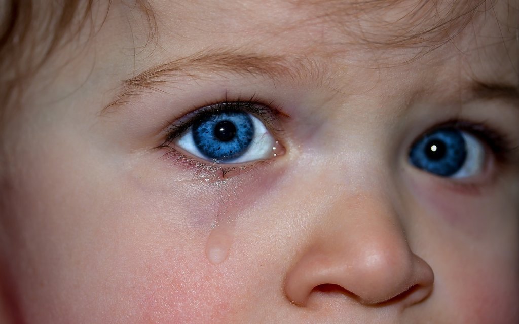 子供の涙
