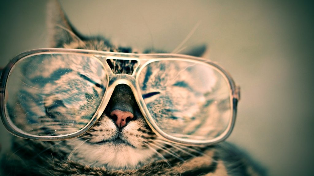 猫眼鏡